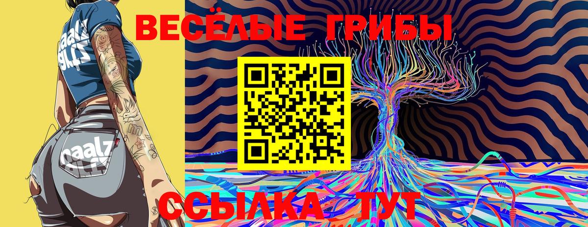 Галлюциногенные грибы GOLDEN TEACHER  Вход с VPN  Кольчугино 